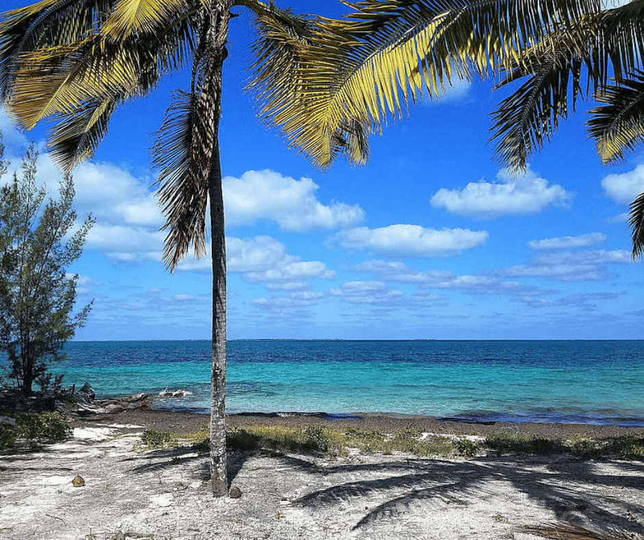 Strand mit Palmen am Sandpiper Beach auf den Bahamas