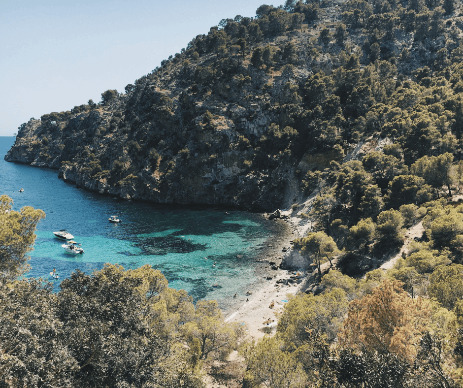 Segeltörn Mallorca - Port d’Andratx, Boote auf dem türkisblauen Meer umgeben von einer imposanten grünen Berglandschaft 