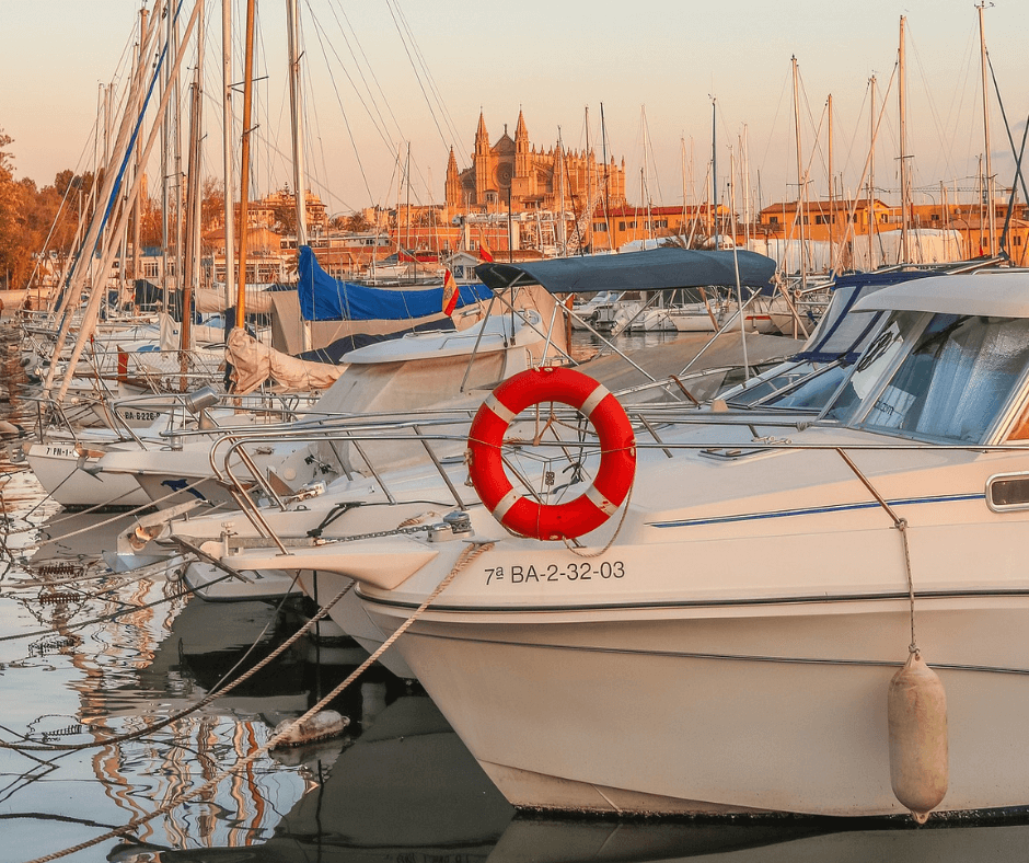Hafen von Mallorca mit vielen Booten, Kathedrale von Mallorca