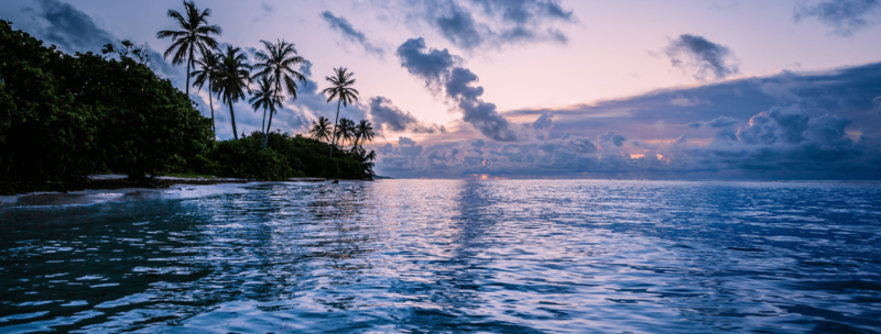 Karibik Segeltörn mit Palmen am Strand in der Dämmerung