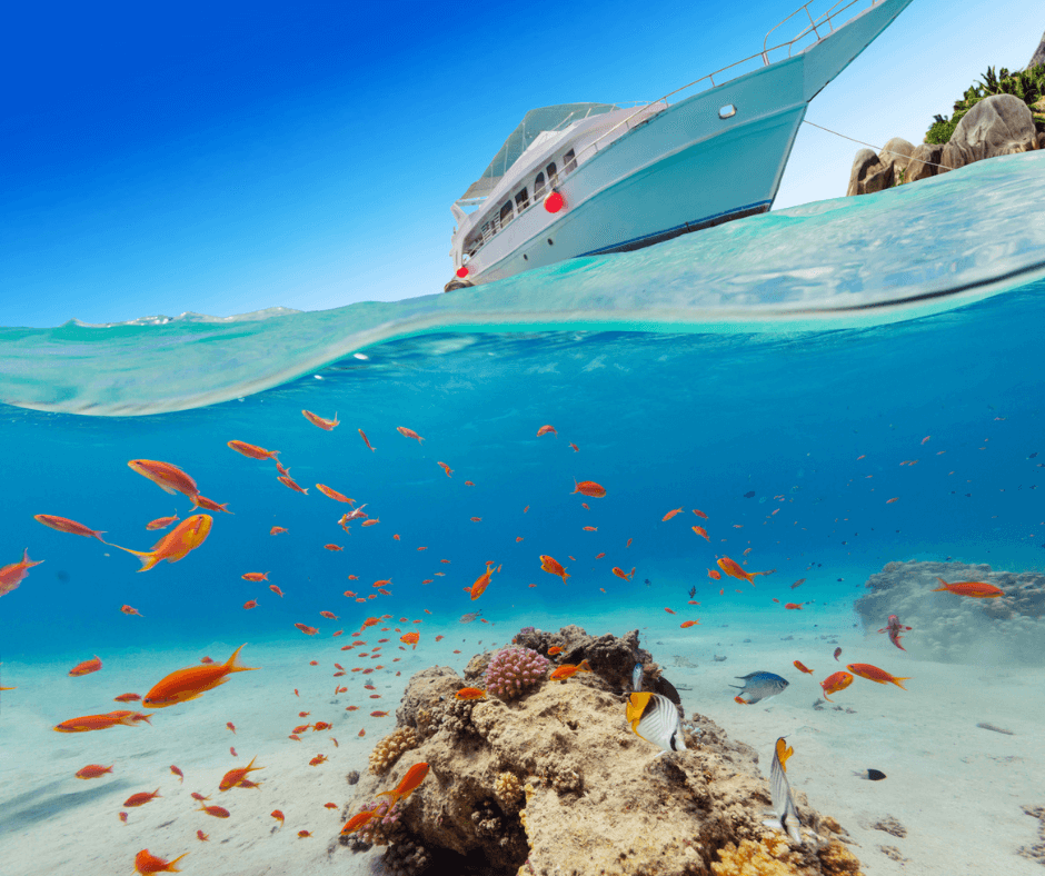 Unterwasserwelt mit bunten Fischen und Korallen, Blick auf ein Boot, 