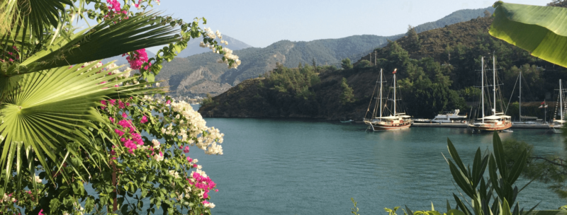 Grüne Palmen und weiß, pinke Blumen mit dem Meer und der bergigen Küste in der Türkei im Hintergrund während verschiedene Schiffe in der Bucht liegen