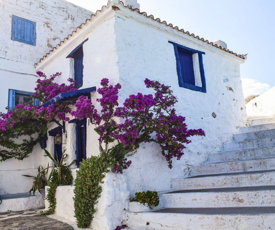 Weißes Haus auf Skopelos mit blauen Fensterläden und lila Blumen. Eine Treppe führt an der rechten Seite entlang.