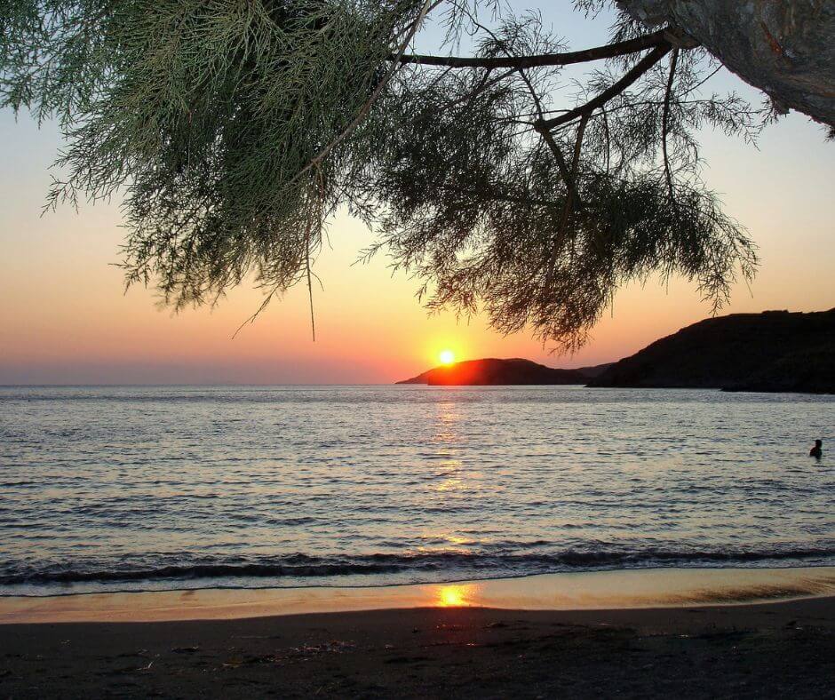 Strand bei Sonnenuntergang. Ein Baum hängt von oben in das Bild. Im Hintergrund sieht man zwei Hügel.