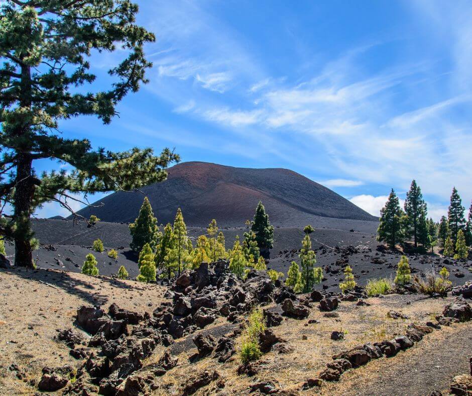Vulkan in der Mitte von Teneriffa. Um ihn herum sieht man Vulkanlandschaft mit vereinzelten Bäumen.